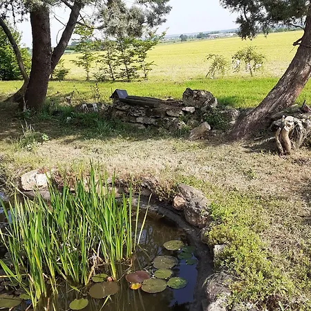 Avec Jardin Au Coeur Du Vignoble Du Layon, Proche Saumur, 9 Couchages, Velos Inclus - Fr-1-622-19 Aubigne-sur-Layon