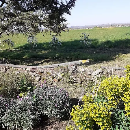 Avec Jardin Au Coeur Du Vignoble Du Layon, Proche Saumur, 9 Couchages, Velos Inclus - Fr-1-622-19