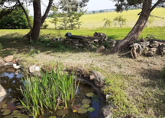 Avec Jardin Au Coeur Du Vignoble Du Layon, Proche Saumur, 9 Couchages, Velos Inclus - Fr-1-622-19 Aubigne-sur-Layon
