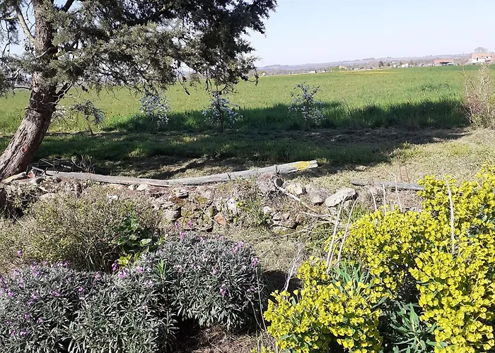 Avec Jardin Au Coeur Du Vignoble Du Layon, Proche Saumur, 9 Couchages, Velos Inclus - Fr-1-622-19